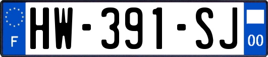 HW-391-SJ