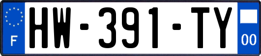 HW-391-TY