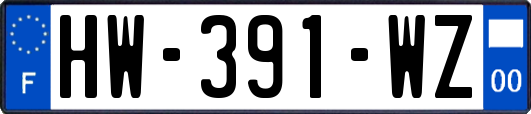 HW-391-WZ