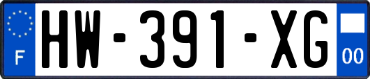 HW-391-XG