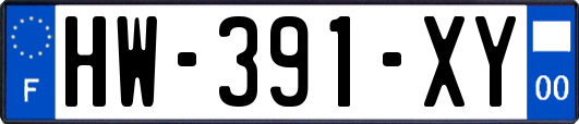 HW-391-XY