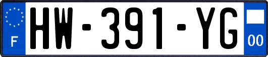 HW-391-YG