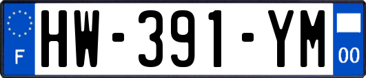 HW-391-YM