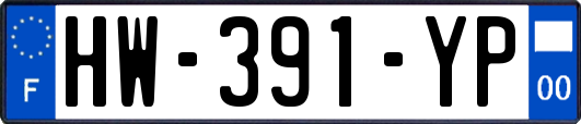 HW-391-YP