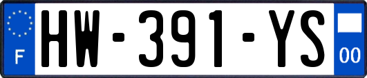 HW-391-YS