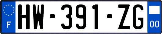 HW-391-ZG