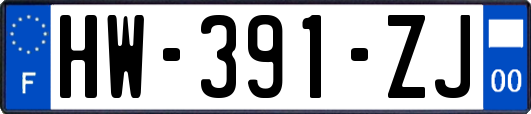 HW-391-ZJ