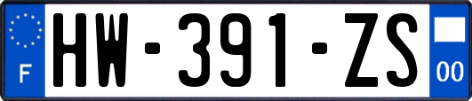 HW-391-ZS