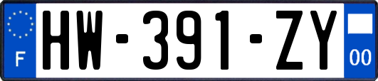 HW-391-ZY