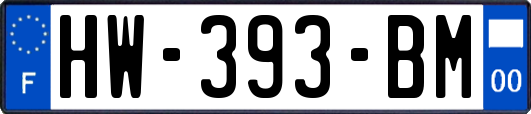 HW-393-BM