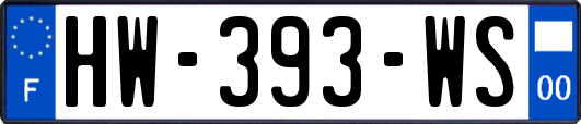 HW-393-WS