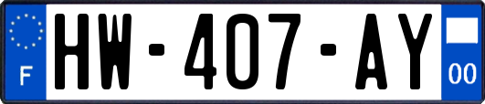 HW-407-AY