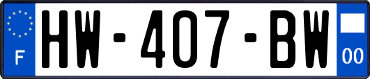 HW-407-BW