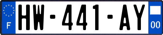 HW-441-AY