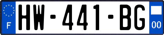 HW-441-BG