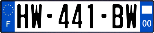 HW-441-BW