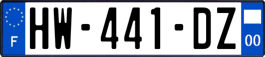 HW-441-DZ