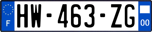 HW-463-ZG