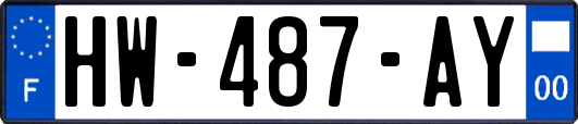 HW-487-AY