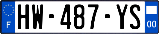 HW-487-YS