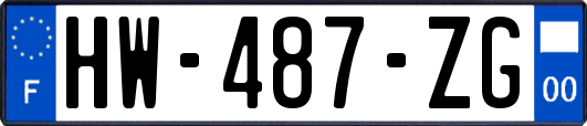 HW-487-ZG