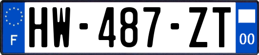 HW-487-ZT