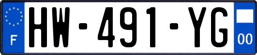 HW-491-YG