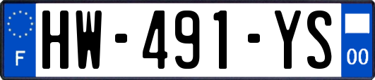 HW-491-YS