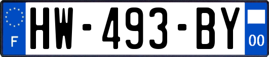 HW-493-BY