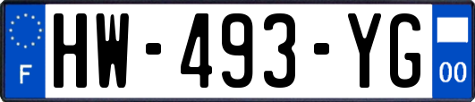 HW-493-YG