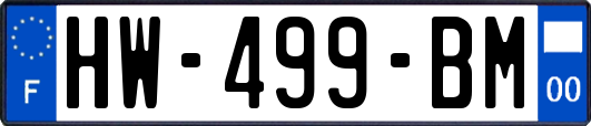 HW-499-BM