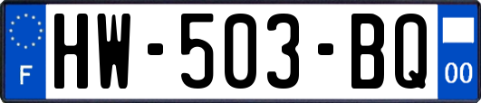 HW-503-BQ