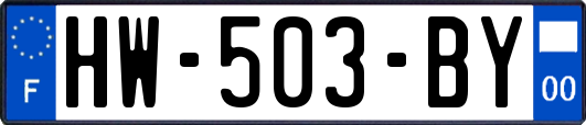 HW-503-BY