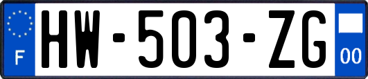 HW-503-ZG