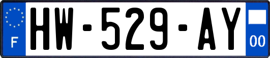 HW-529-AY