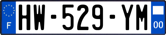 HW-529-YM