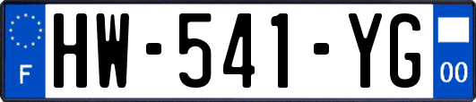 HW-541-YG