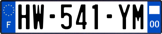 HW-541-YM