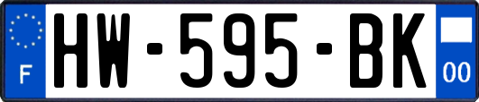 HW-595-BK