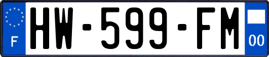 HW-599-FM