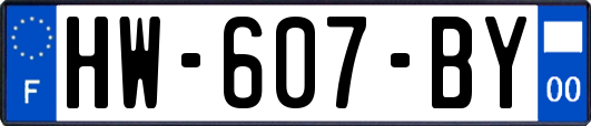 HW-607-BY