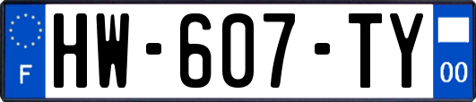 HW-607-TY