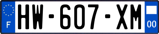 HW-607-XM