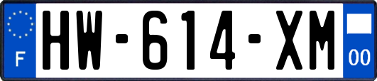 HW-614-XM