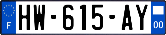 HW-615-AY