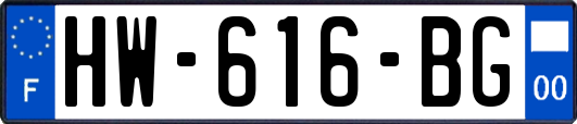 HW-616-BG