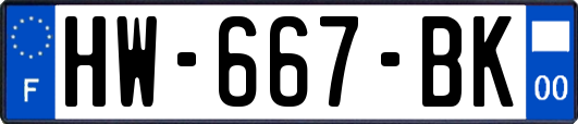 HW-667-BK