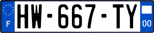HW-667-TY