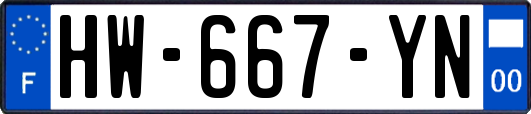 HW-667-YN