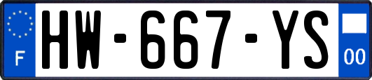HW-667-YS